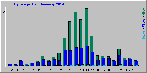 Hourly usage for January 2014