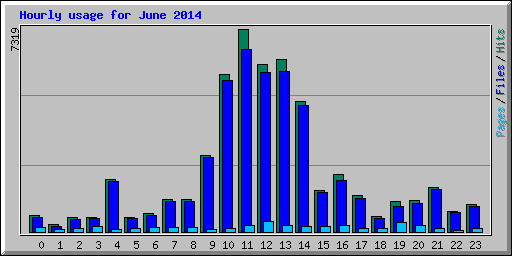 Hourly usage for June 2014