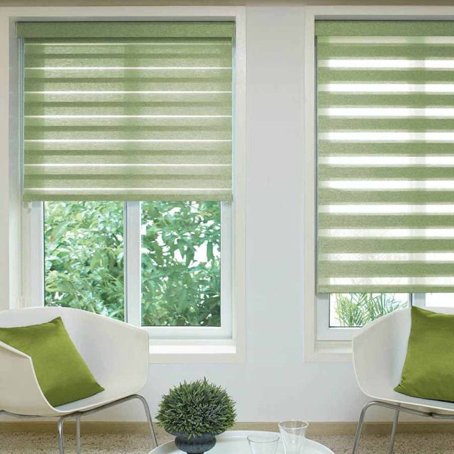 Reagan Lime Duplex Blind