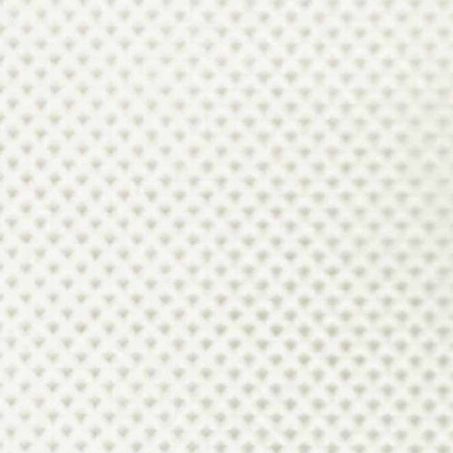 Disposable Curtain White