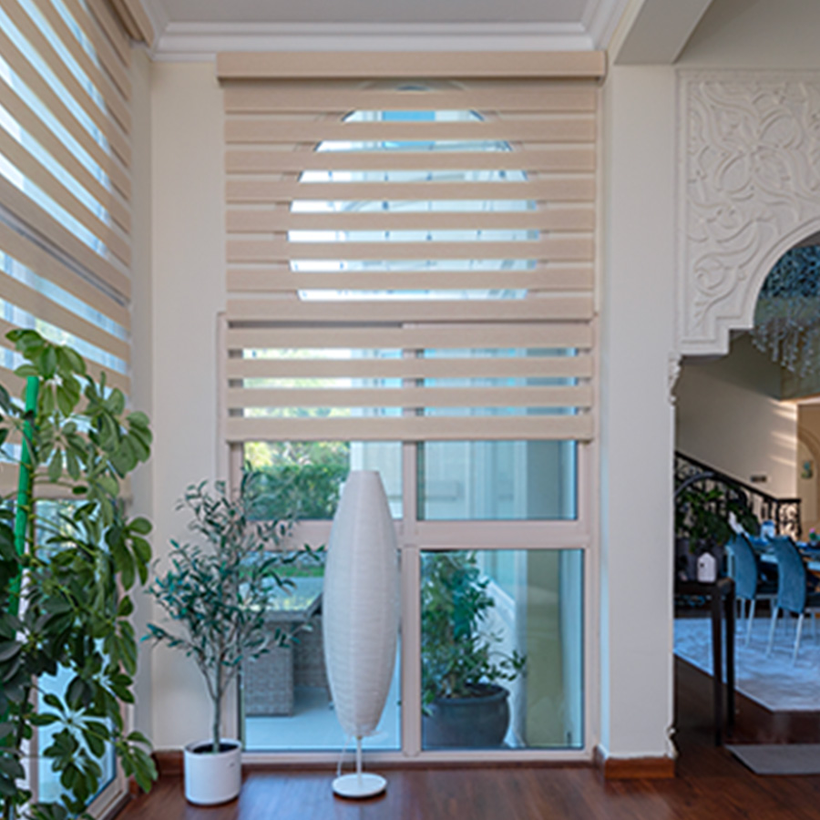Duplex Blinds